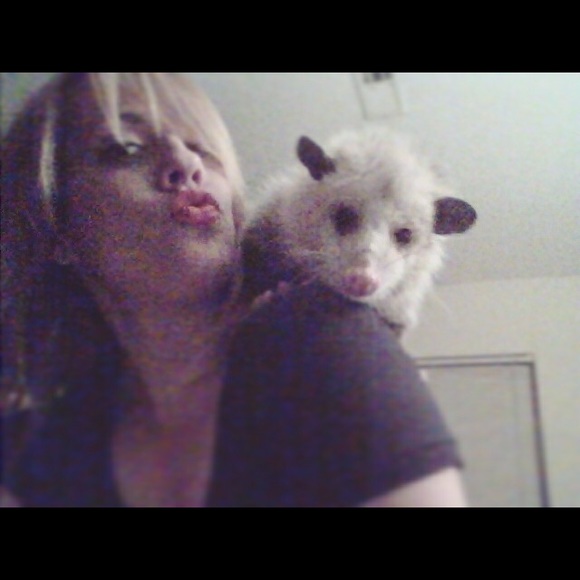 Meet your Posher, Chels - Picture 7 of 12